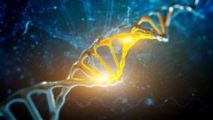 2023 - Питер Мейер и Майкл Лав - Скрытое прошлое 2023/08/15 DNA-optics-are-reconnected