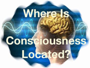 Питер - Питер Мейер - Наша реальность - это ловушка сознания  2023/12/26 Our-Reality-is-a-Consciousness-Trap-300x225