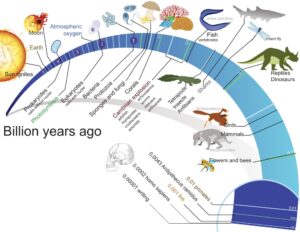 The Origin Of Life On Earth