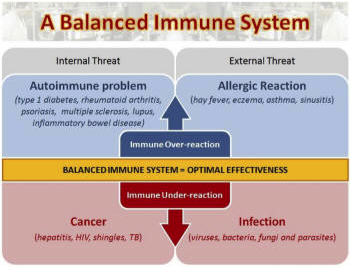Balanced immune
