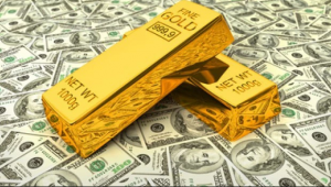 Gold backed Money